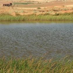 Laguna de Noviecas, ayuntamiento de Noviercas